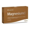 MAGNESIUM 6 VITAE 60 COMP